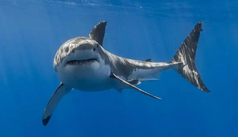 心海传媒大数据轮播图1